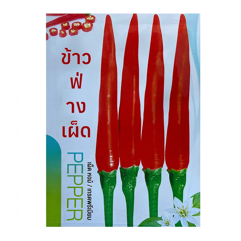 【เด็ดไม่แพ้】เมล็ดพันธุ์พริกพันธุ์ต้านโรคที่คัดสรร อัตราการงอก 99% ต้านทานโรคเยี่ยม ปลูกครั้งเดียวเก็บได้ทั้งปี