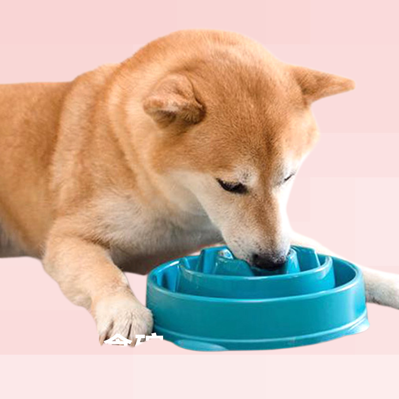 酷極/Kyjen狗狗慢食碗狗狗碗趣味中型犬訓泰迪狗狗防噎碗寵物用品
