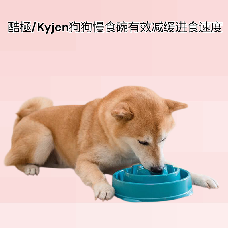 酷極/Kyjen狗狗慢食碗狗狗碗趣味中型犬訓泰迪狗狗防噎碗寵物用品