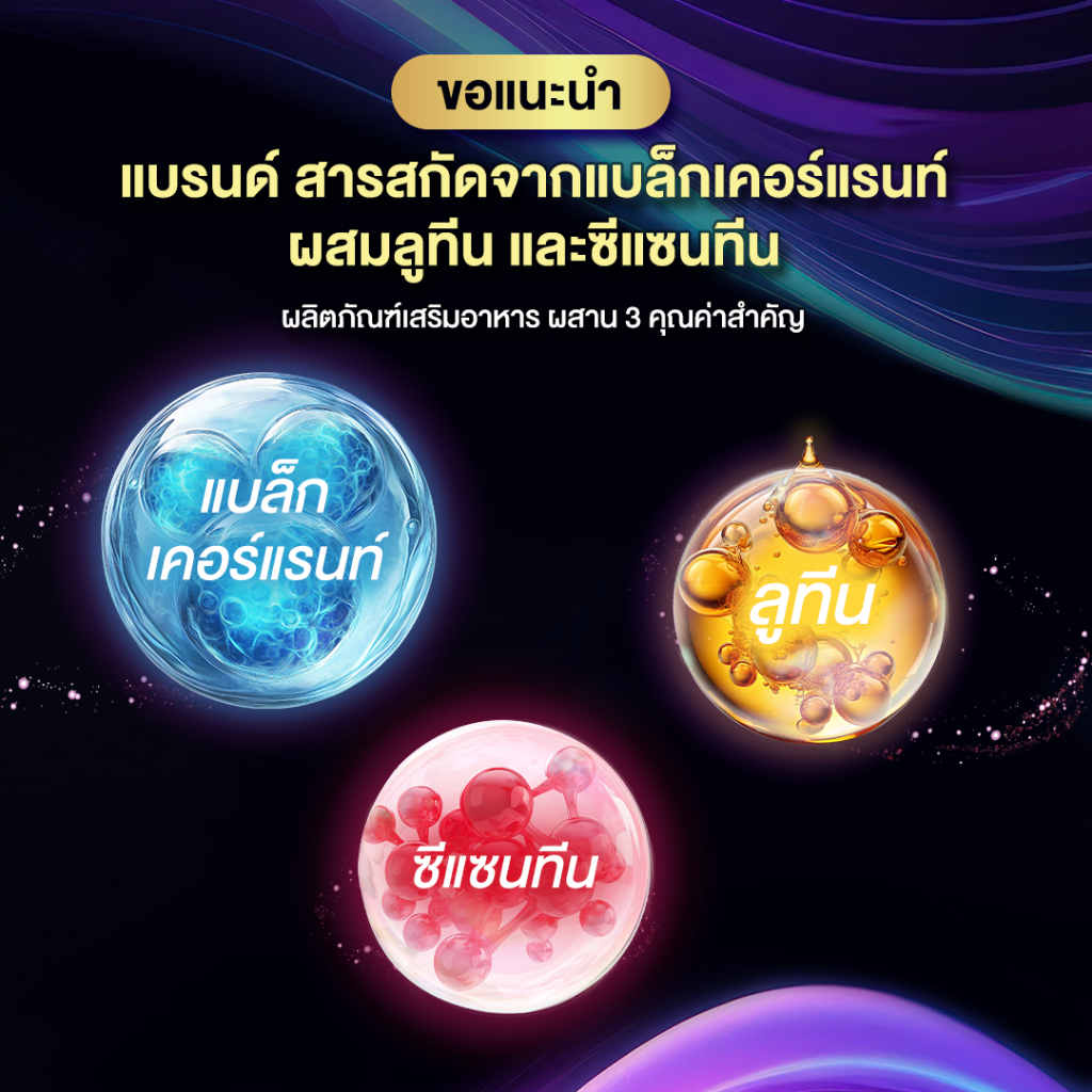 แบรนด์ สารสกัดจากแบล็กเคอร์แรนท์ ผสมลูทีนและซีแซนทีน 60 เม็ด