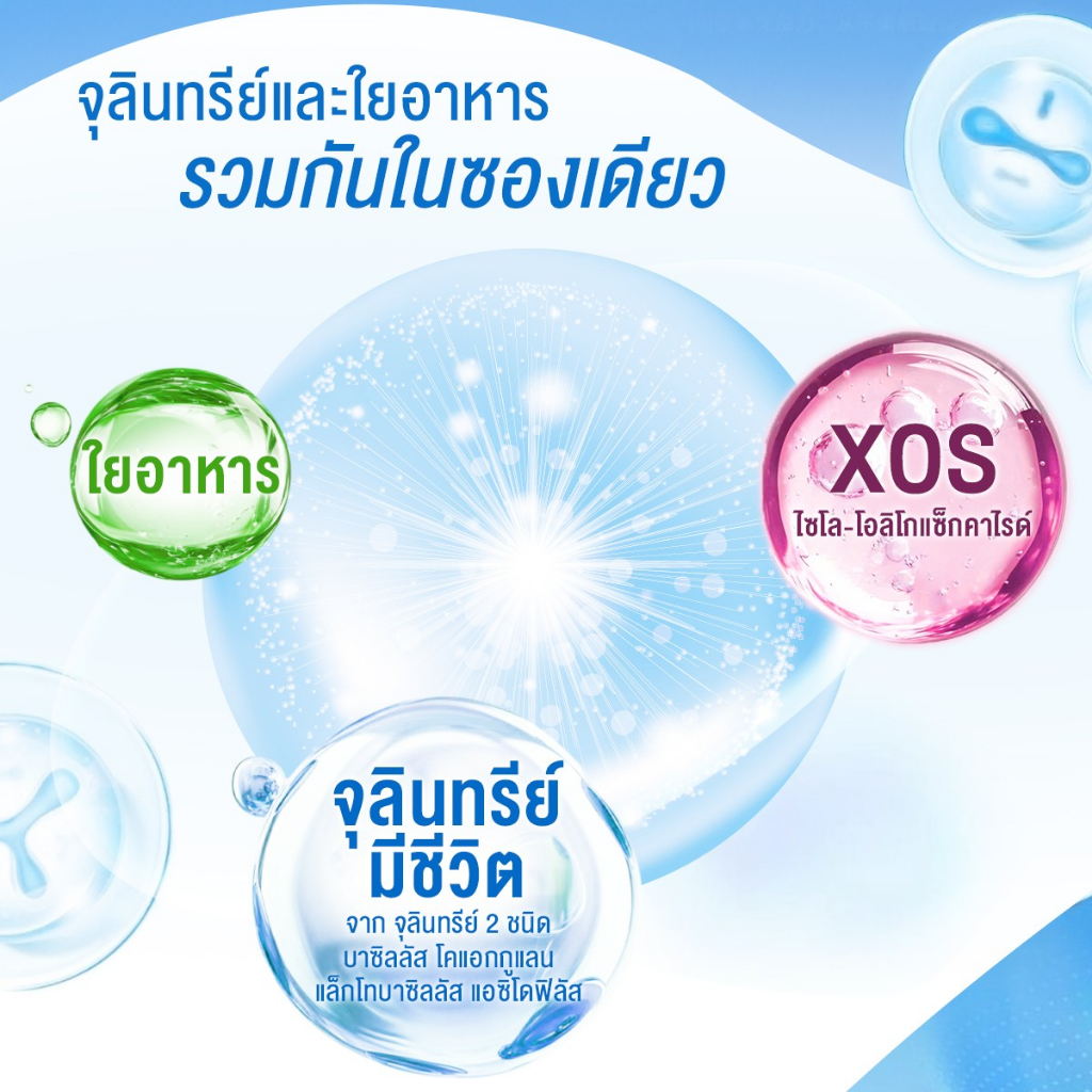 แบรนด์อินเนอร์ไชน์ โพรไบโอ 10 ซอง