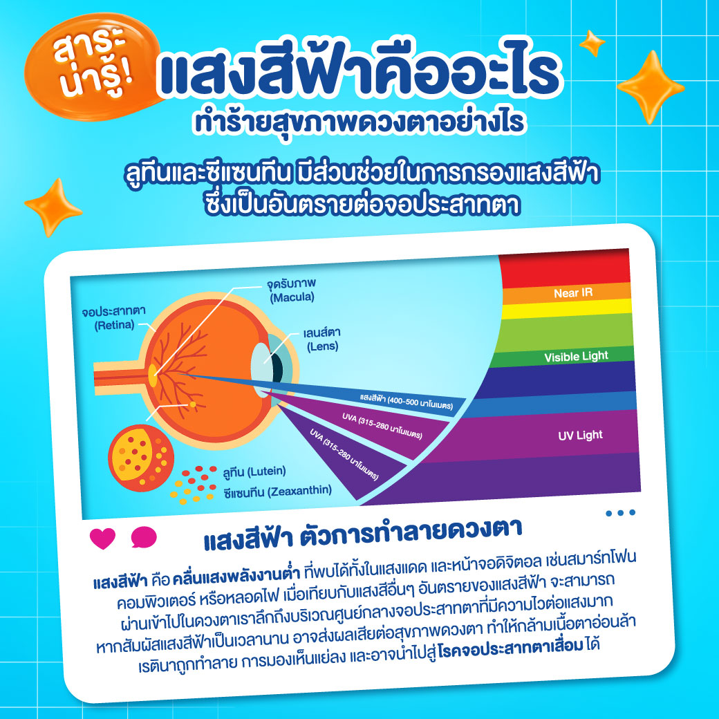 แบรนด์ วีต้า เจลลี่ ลูทีน 18 ก. x 15 ซอง