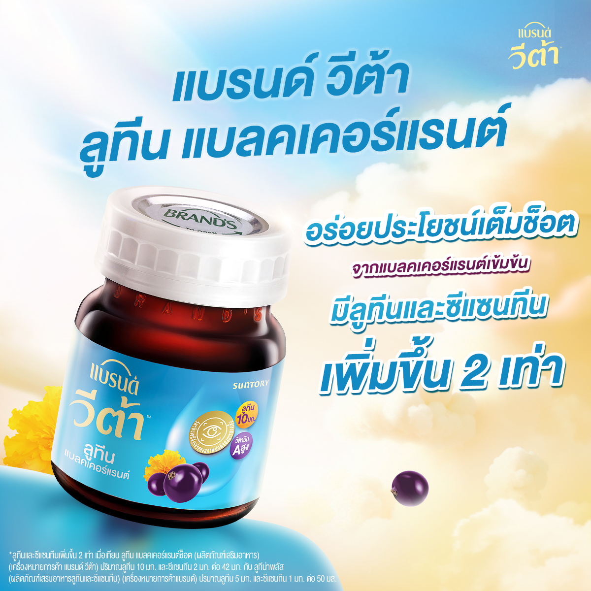 แบรนด์ วีต้า ลูทีน แบลคเคอร์แรนต์ช็อต 42 มล. x 12 ขวด