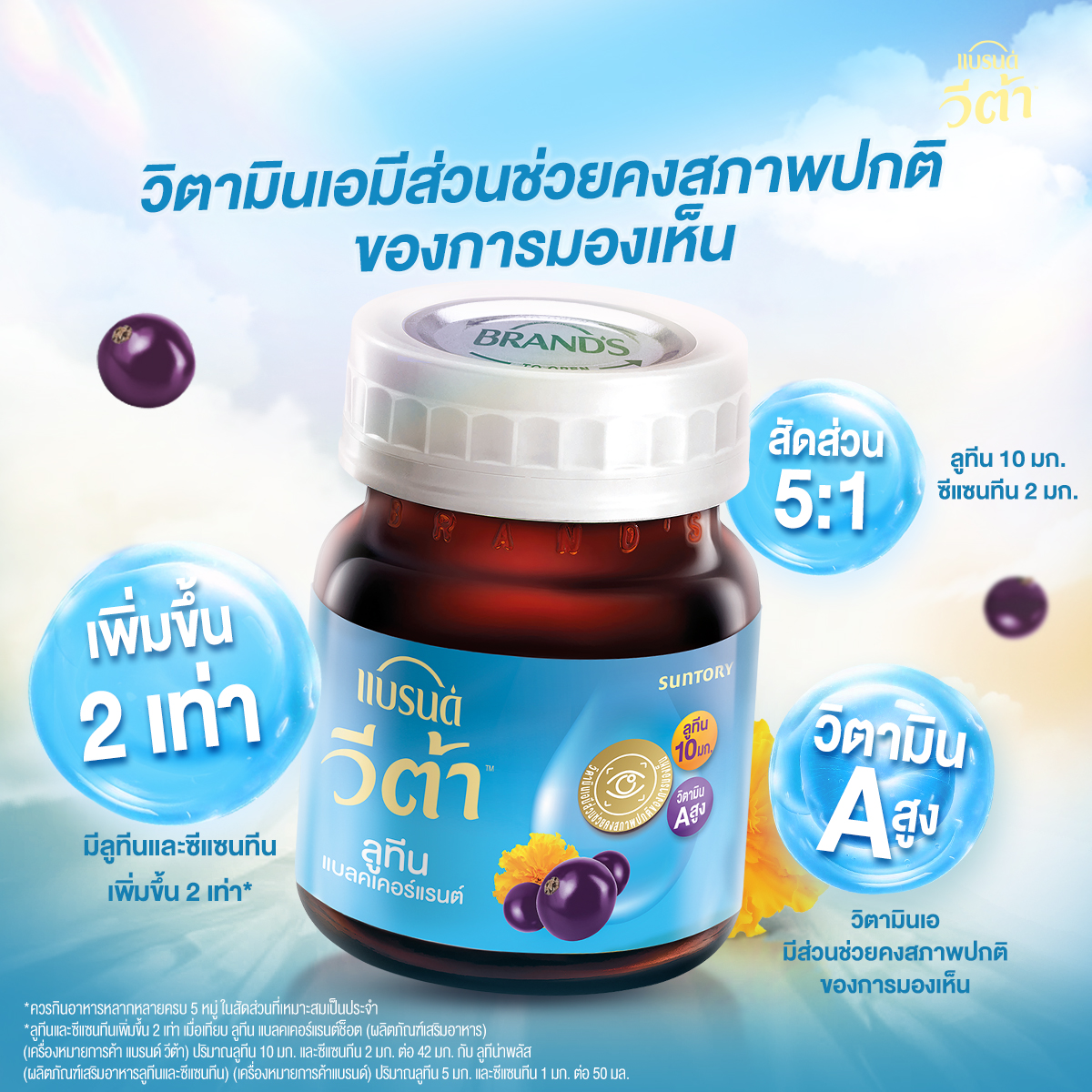 แบรนด์ วีต้า ลูทีน แบลคเคอร์แรนต์ช็อต 42 มล. x 12 ขวด