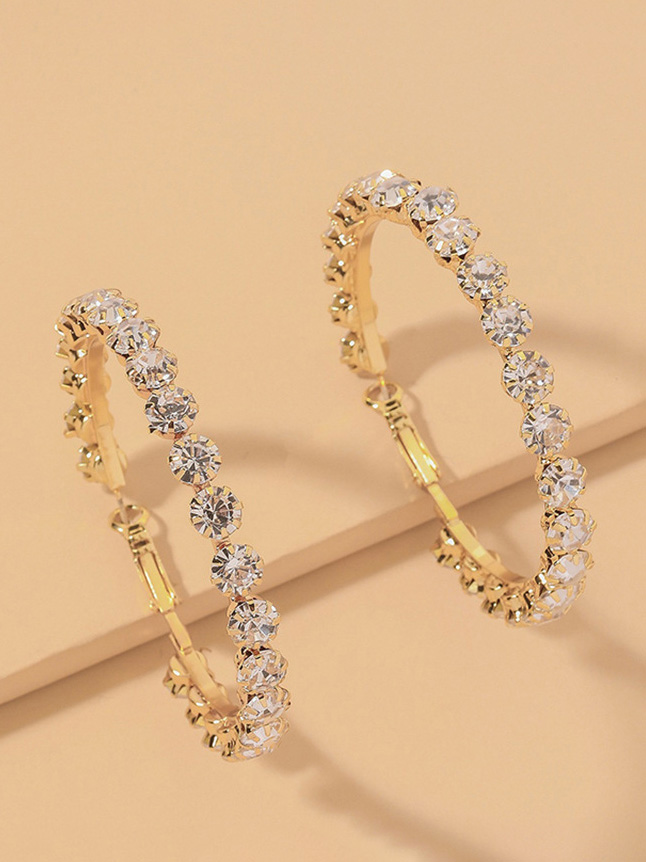 Exaggerated Diamond Silver Needle Large Circle Earrings