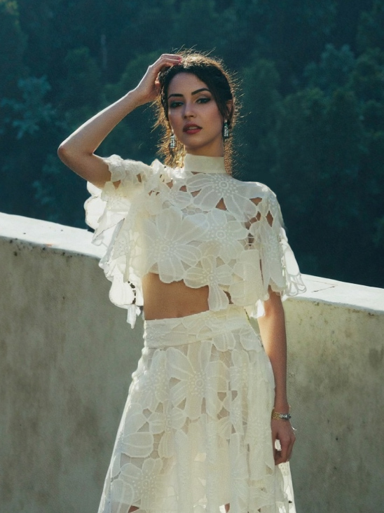 Elegant High Collar Embroidered Lace Short Shirt