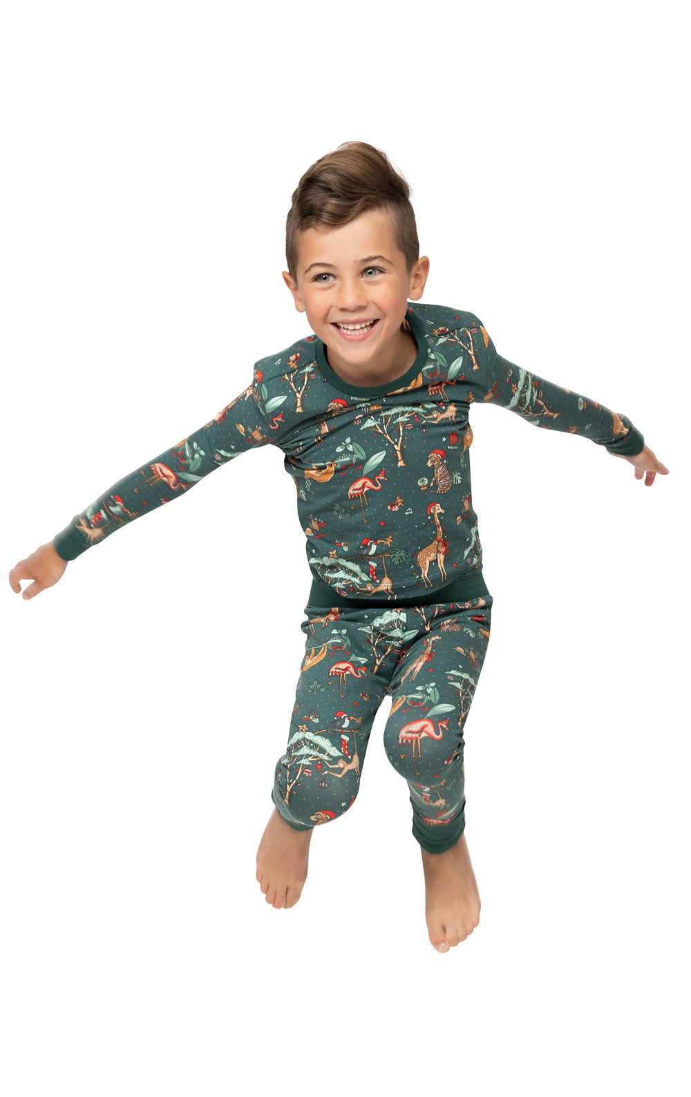 Christmas Cute Animals Fmalily Matching Pajamas Sets