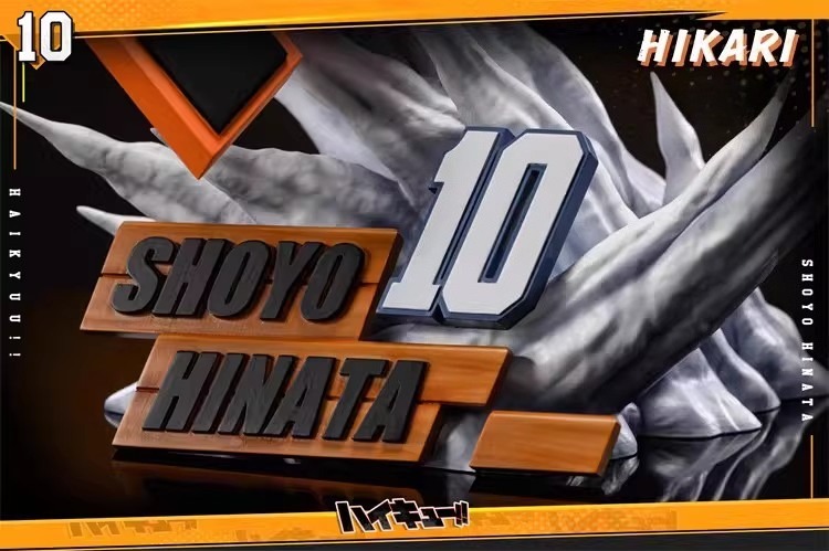 夢想小鎮 HIKARI 排球少年第一彈 日向翔陽