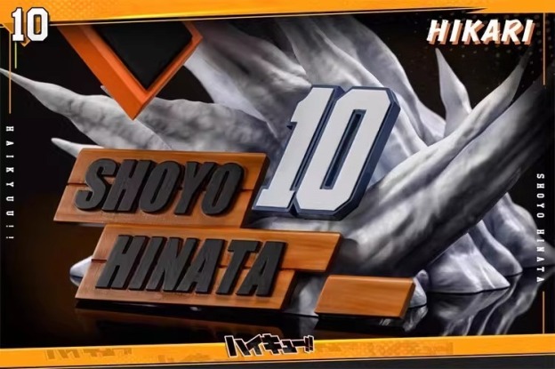 夢想小鎮 HIKARI 排球少年第一彈 日向翔陽