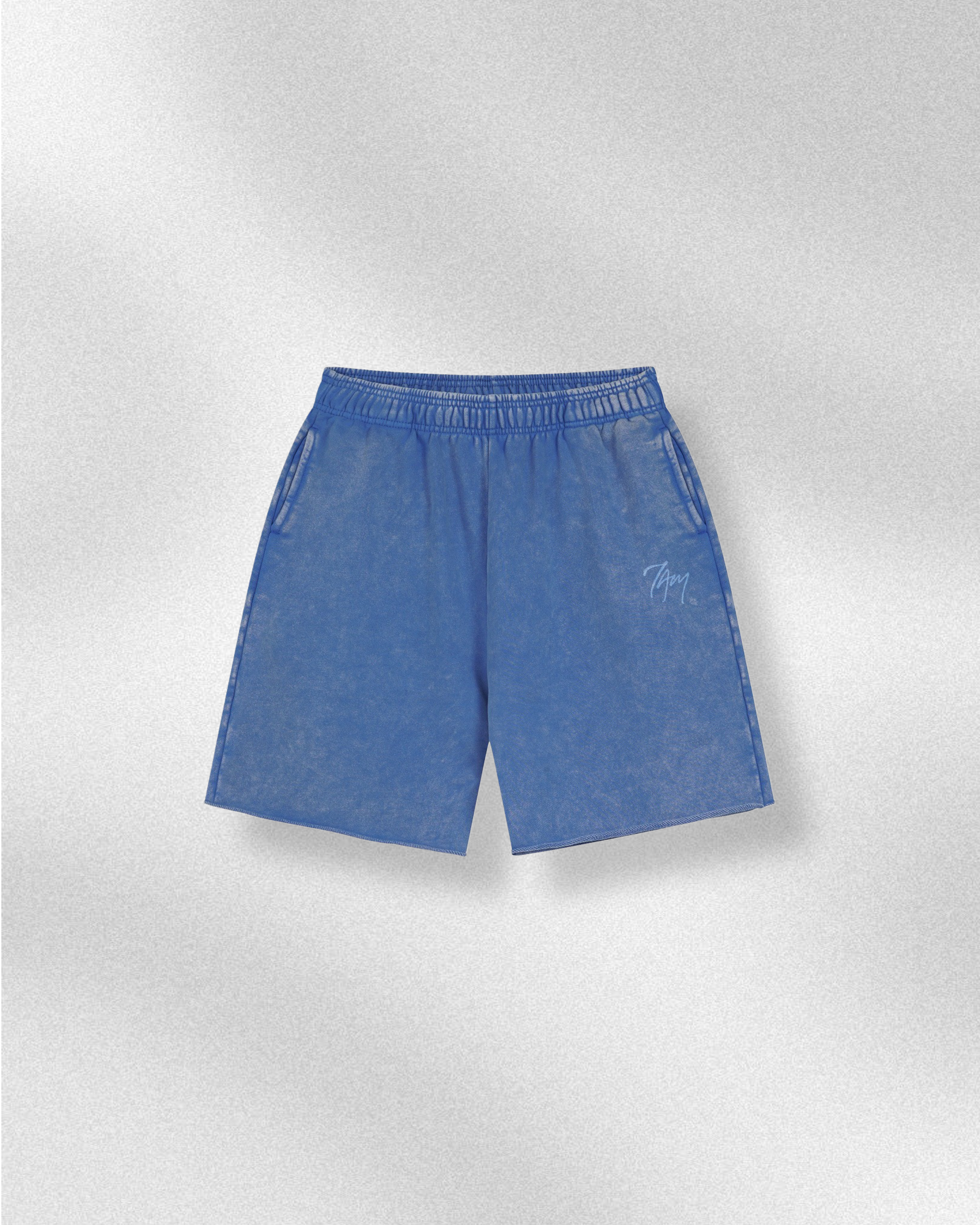 Vintage Logo Blue | Oversized T