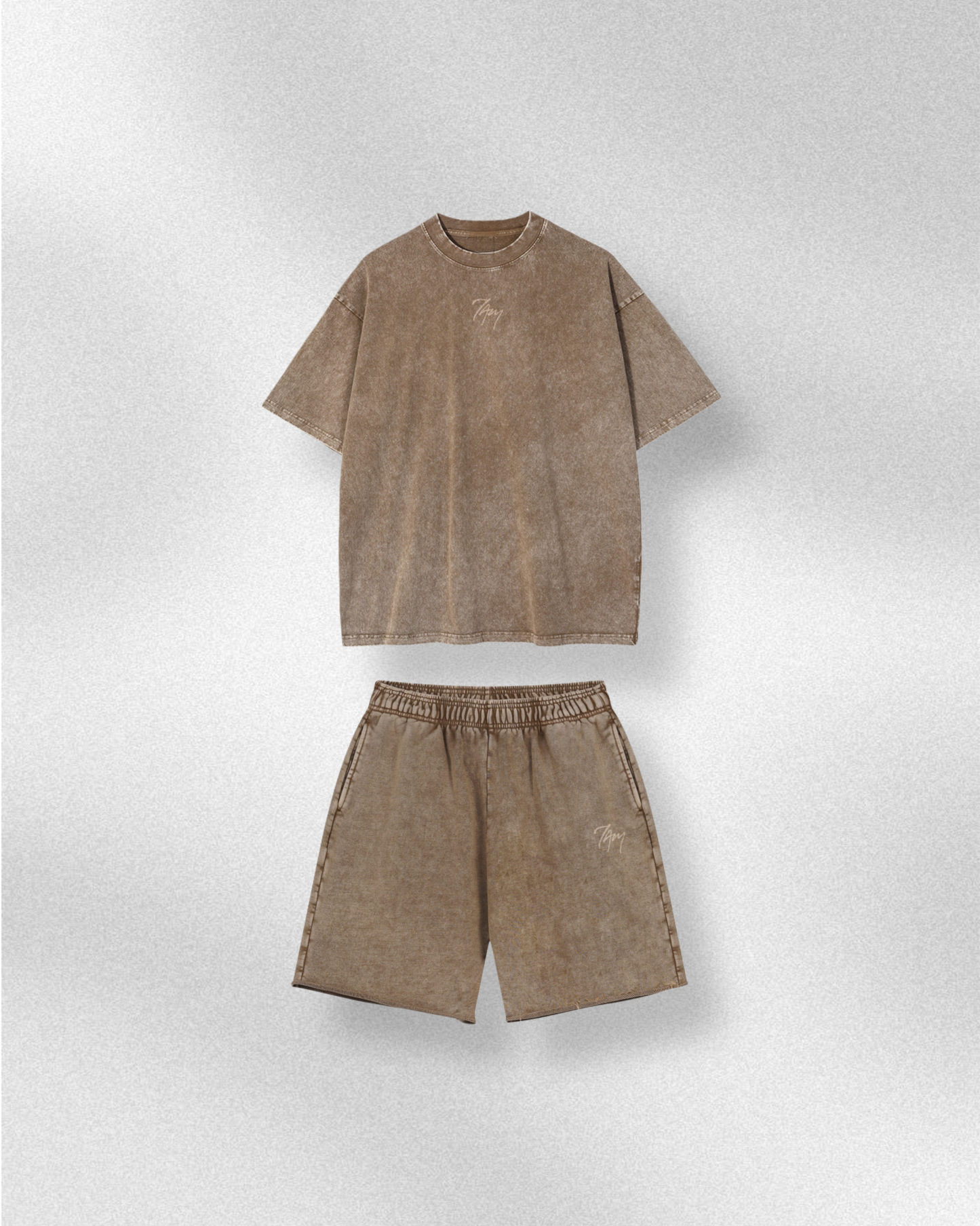 Vintage Logo Beige | Oversized T