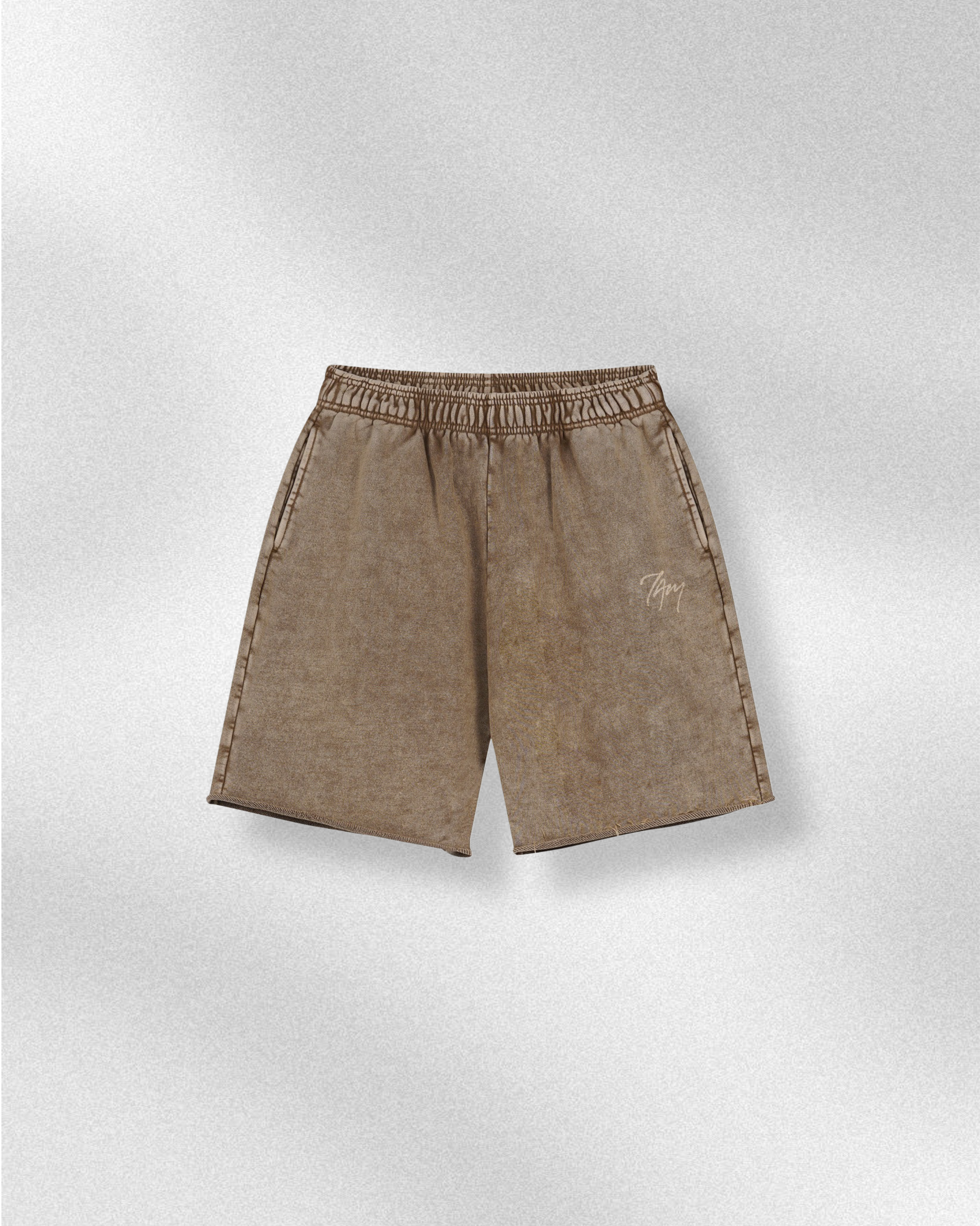 Vintage Logo Beige | Oversized T