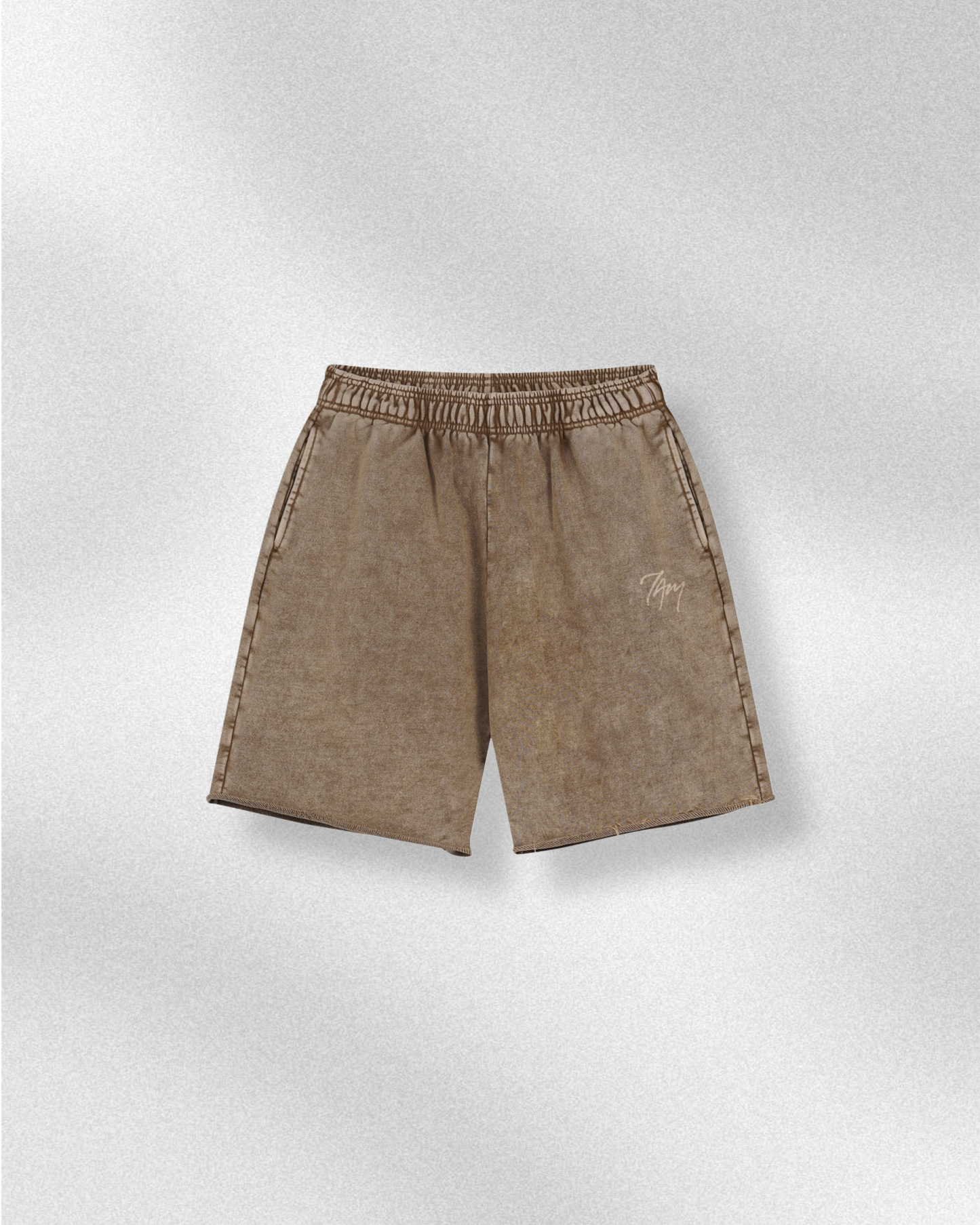 Vintage Logo Beige | Oversized T