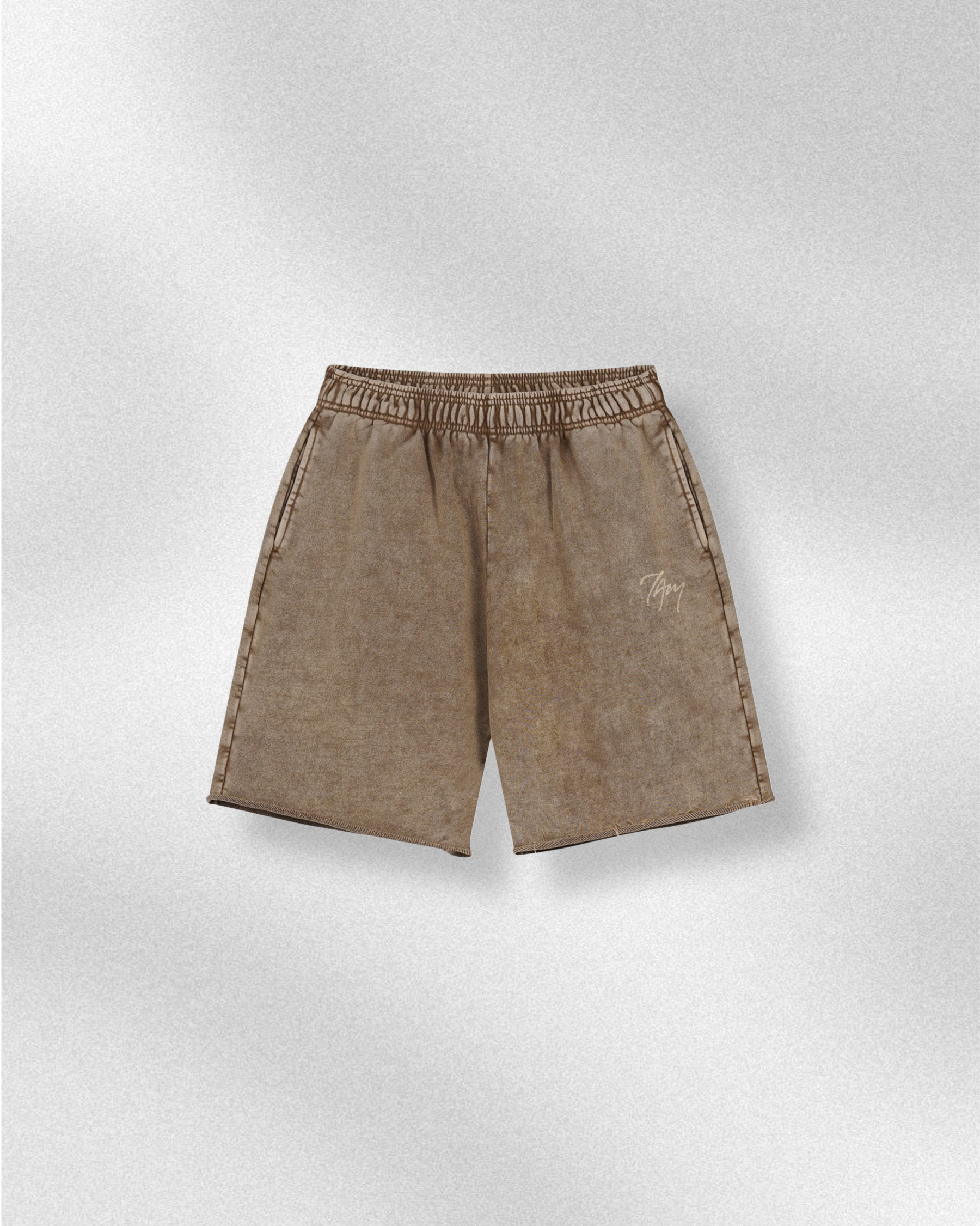 Vintage Logo Beige | Oversized T