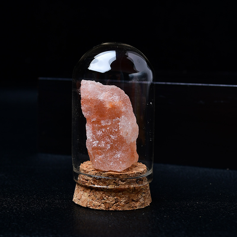 Natural Crystal Rough Stone Children's Educational Display Set - Gemstone, Agate, Jade & Rare Mineral/Rock Specimen Kit