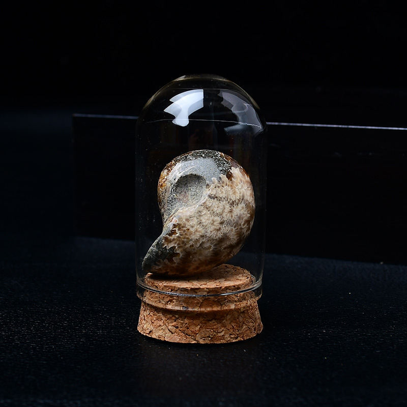 Natural Crystal Rough Stone Children's Educational Display Set - Gemstone, Agate, Jade & Rare Mineral/Rock Specimen Kit