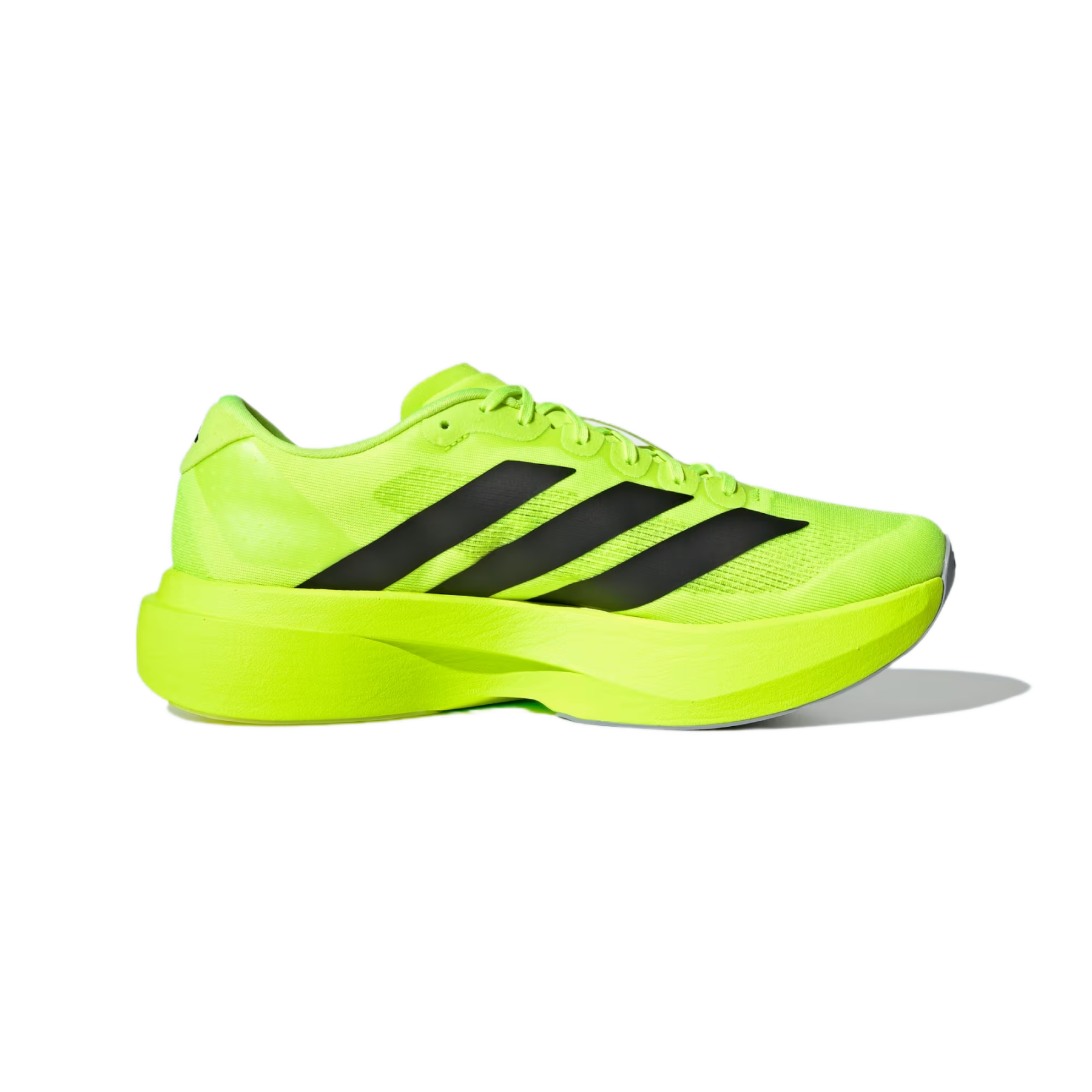 Adidas Adizero Evo SL "Lucid Lemon"
