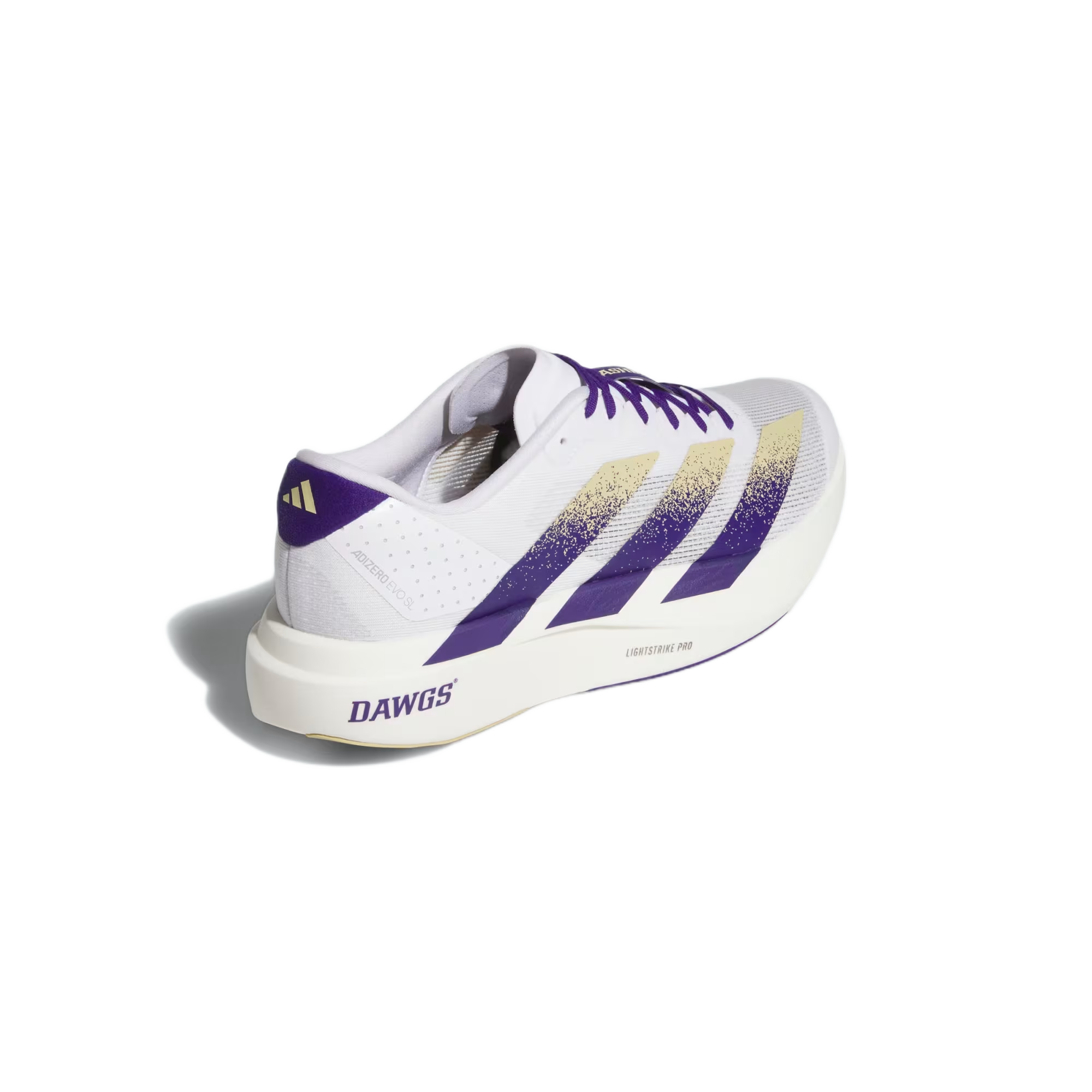 NCAA x Adidas Adizero Evo SL "Washington Huskies"