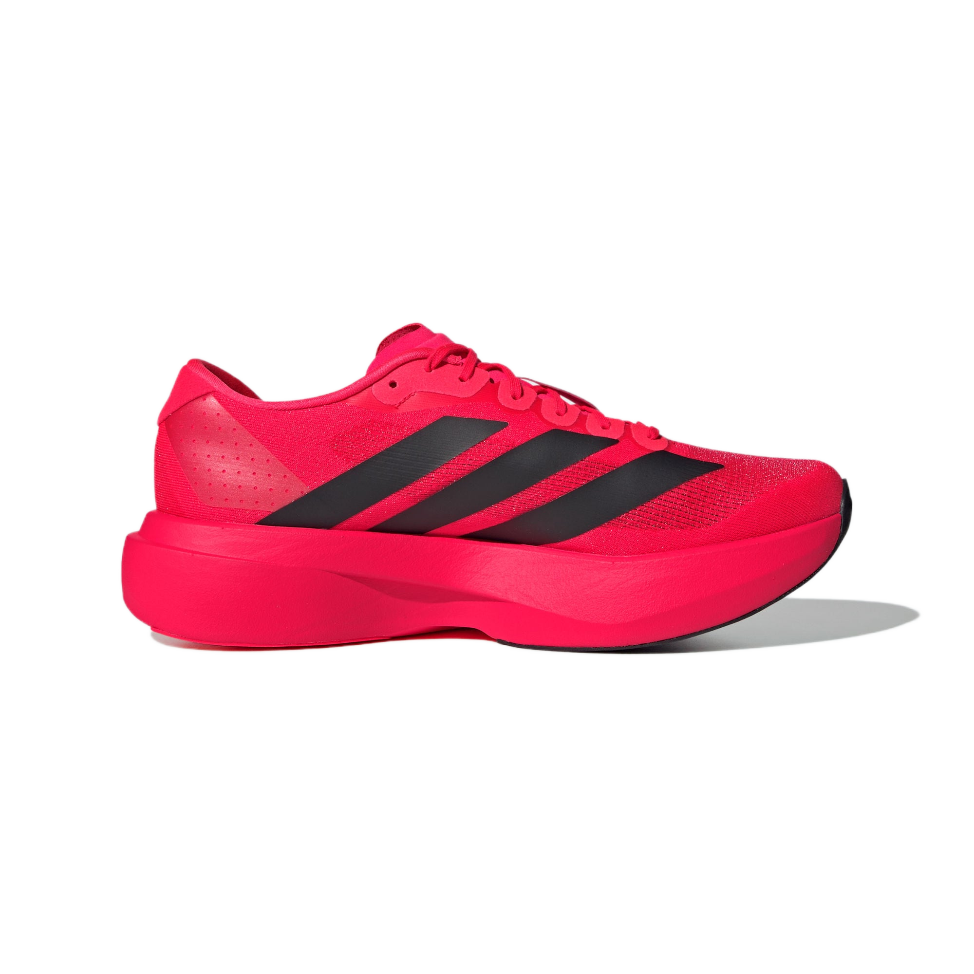 Adidas Adizero Evo SL "Lucid Red Black"