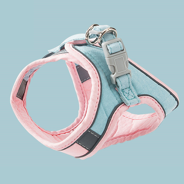 Pet harness leash