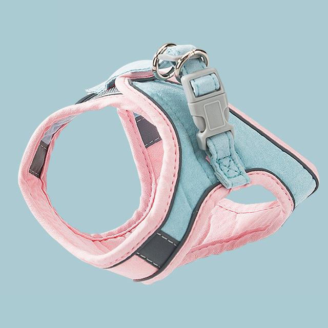 Pet harness leash