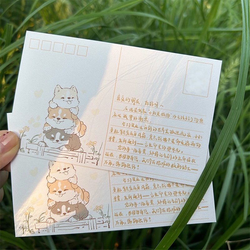 小陽幫幫｜原創設計關愛流浪貓狗公益明信片