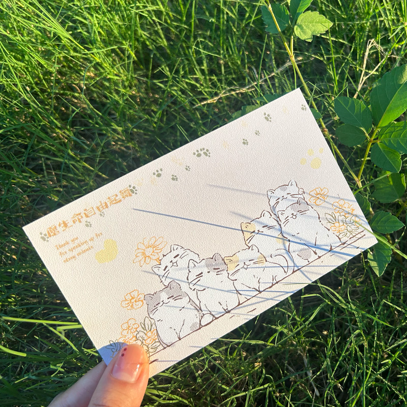 小陽幫幫｜原創設計關愛流浪貓狗公益明信片