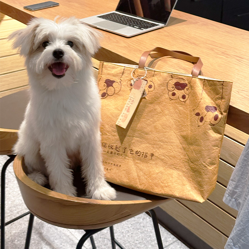 小陽幫幫｜原創手繪毛孩子貓爪杜邦紙托特包