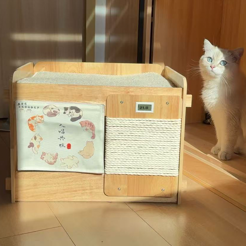 小陽幫幫｜夏日消暑毛小孩空調小屋