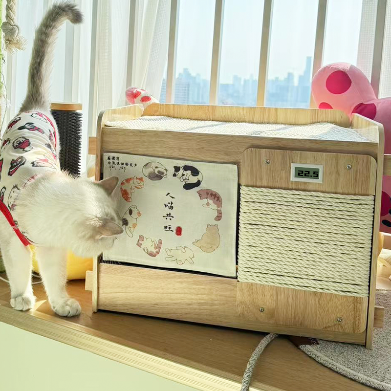 小陽幫幫｜夏日消暑毛小孩空調小屋