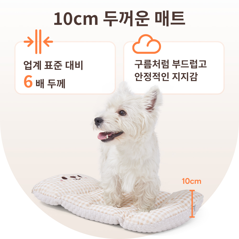 블러셔 곰돌이 쿨감 쿠션 세트