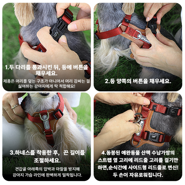 PETTENA 강아지용 리드 어깨 걸이 가방 포함 3종 세트
