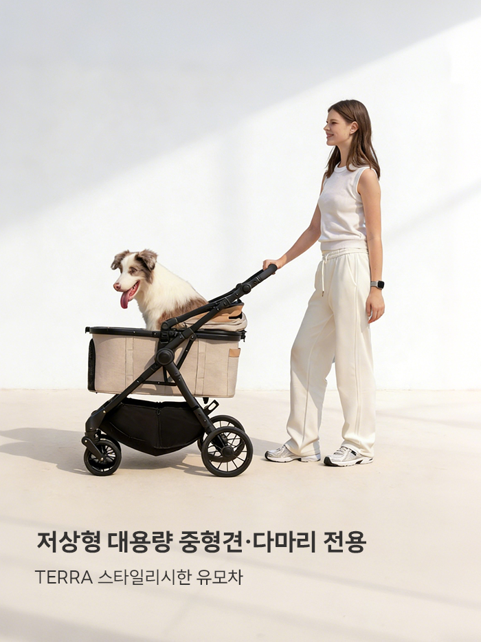 {"default":"펫테나 강아지 유모차 테라"}
