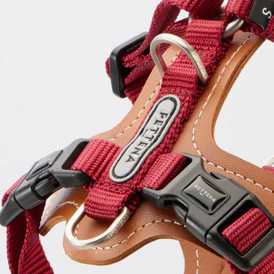 PETTENA 강아지용 리드 어깨 걸이 가방 포함 3종 세트