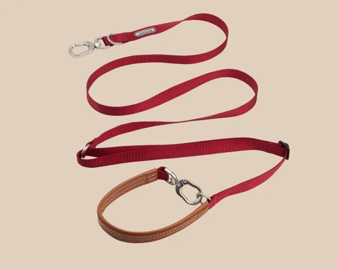 PETTENA 강아지용 리드 어깨 걸이 가방 포함 3종 세트
