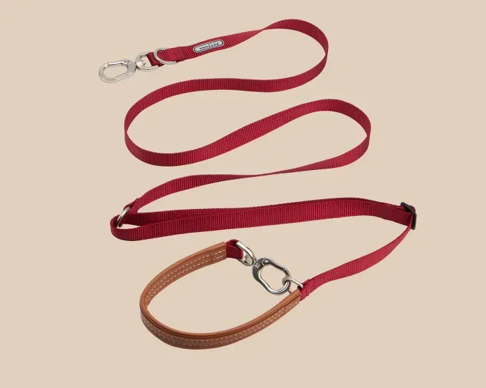 PETTENA 강아지용 리드 어깨 걸이 가방 포함 3종 세트