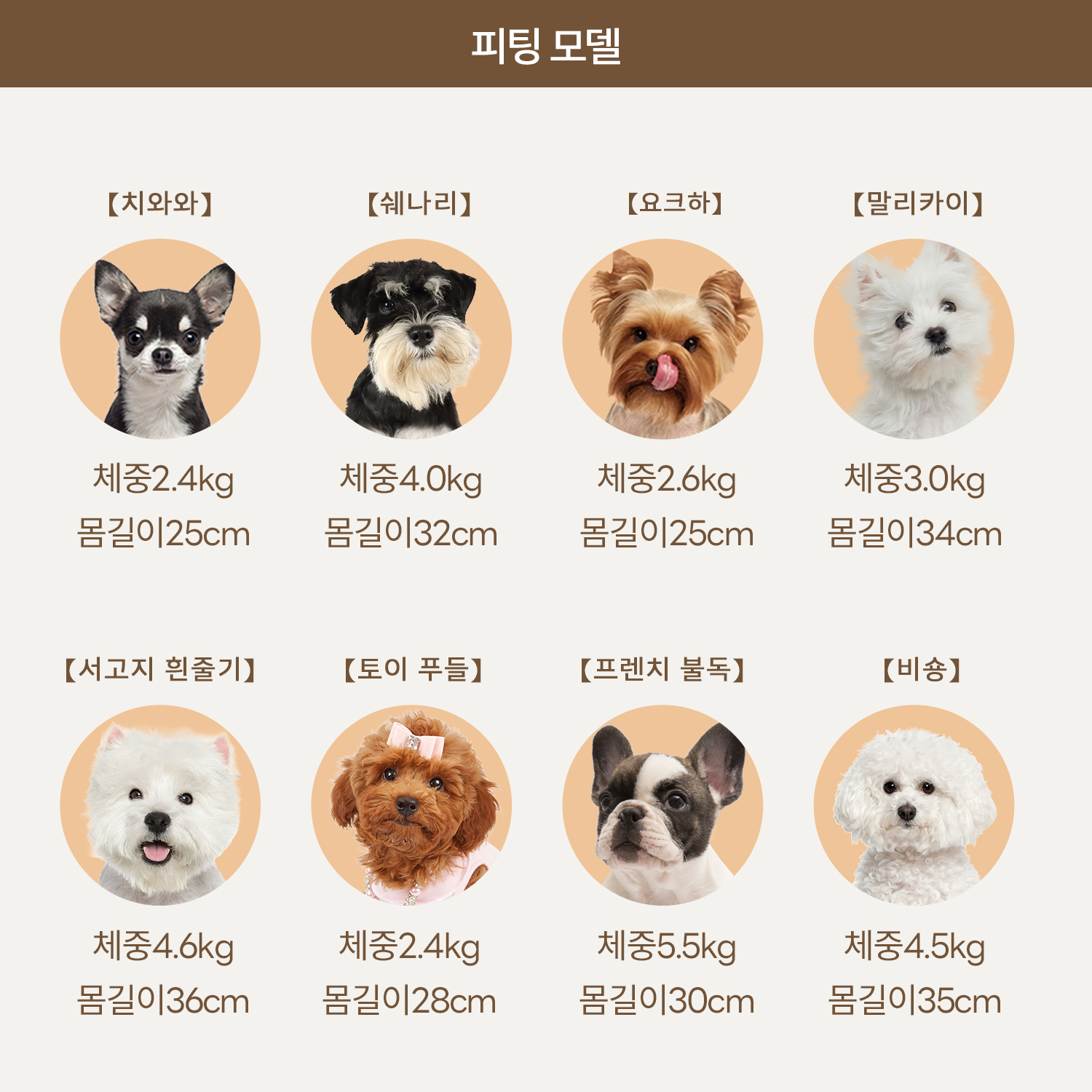 PETTENA 반려동물 백팩 HIYORI 여성 전용 디자인