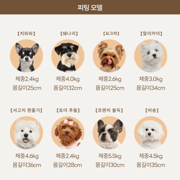 PETTENA 반려동물 백팩 HIYORI 여성 전용 디자인