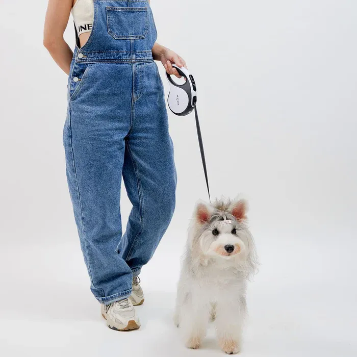 다기능 강아지용 리드줄