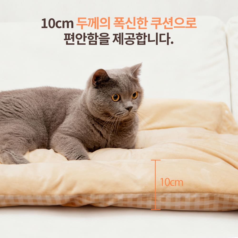 [TERRA 전용] 귀여운 곰돌이 쿠션 2점 세트 겨울 방한 대책!