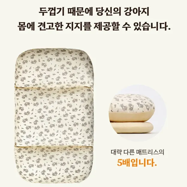 플로럴 프린지 투피스 세트