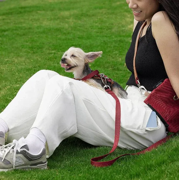 PETTENA 강아지용 리드 어깨 걸이 가방 포함 3종 세트