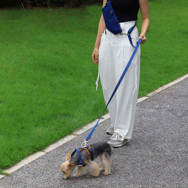 PETTENA 강아지용 리드 어깨 걸이 가방 포함 3종 세트