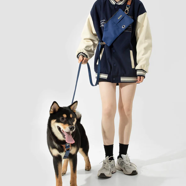 PETTENA 강아지용 리드 어깨 걸이 가방 포함 3종 세트