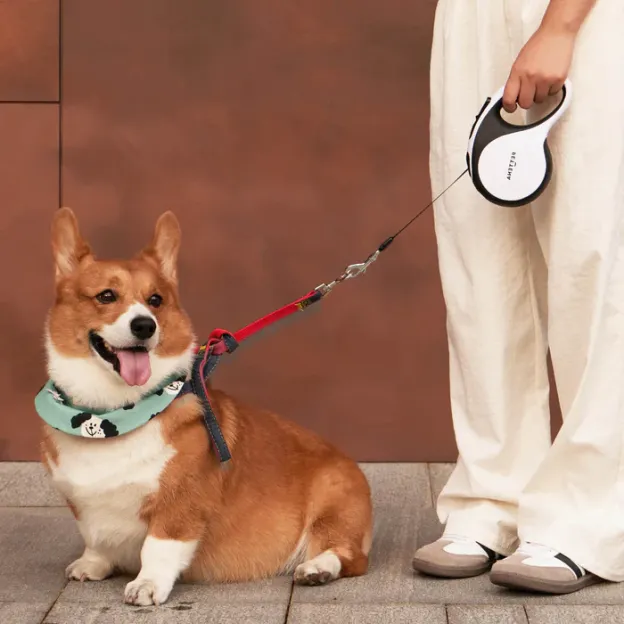 다기능 강아지용 리드줄