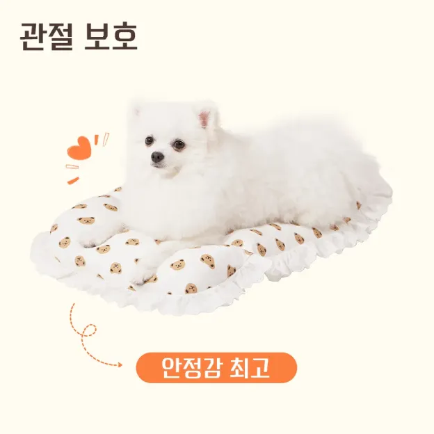 반려견용 레이스 곰돌이 쿠션 세트 (레이스 포함)