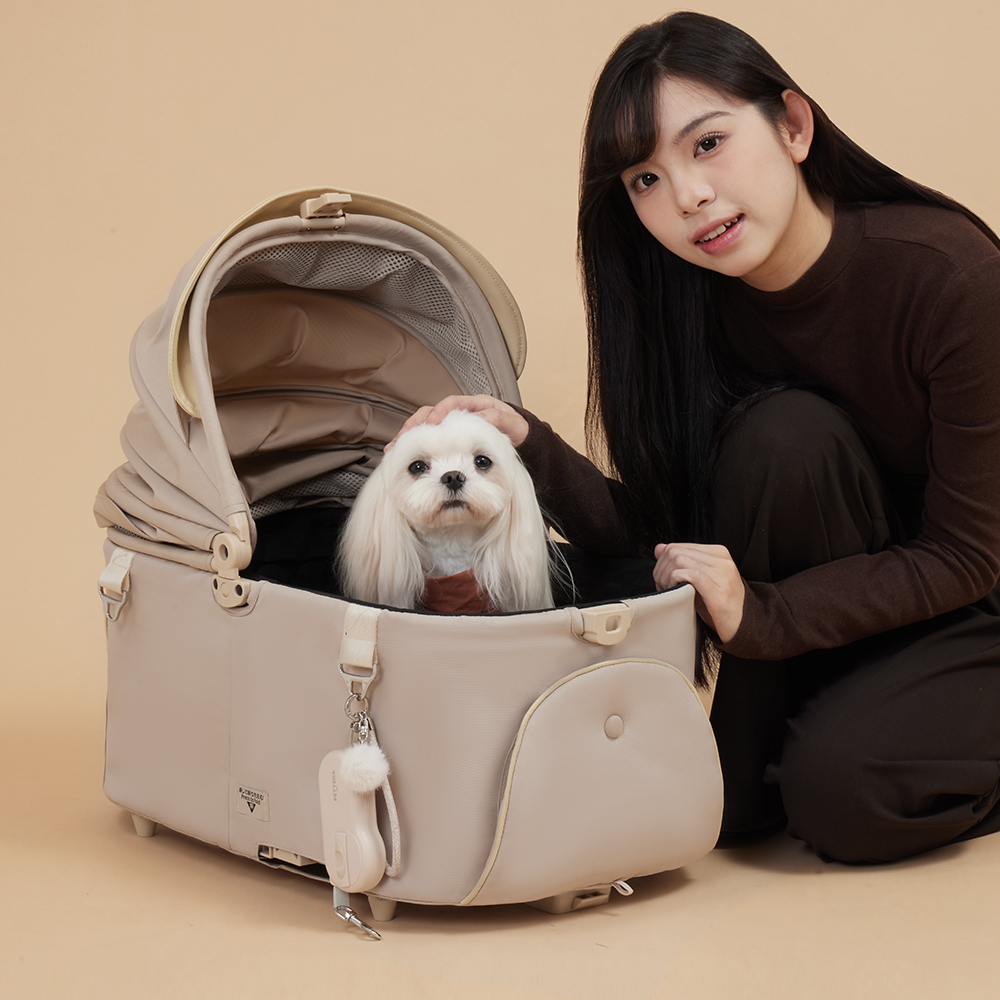 PETTENA 에어홀드 초경량 핸드그립 강아지 자동 리드줄
