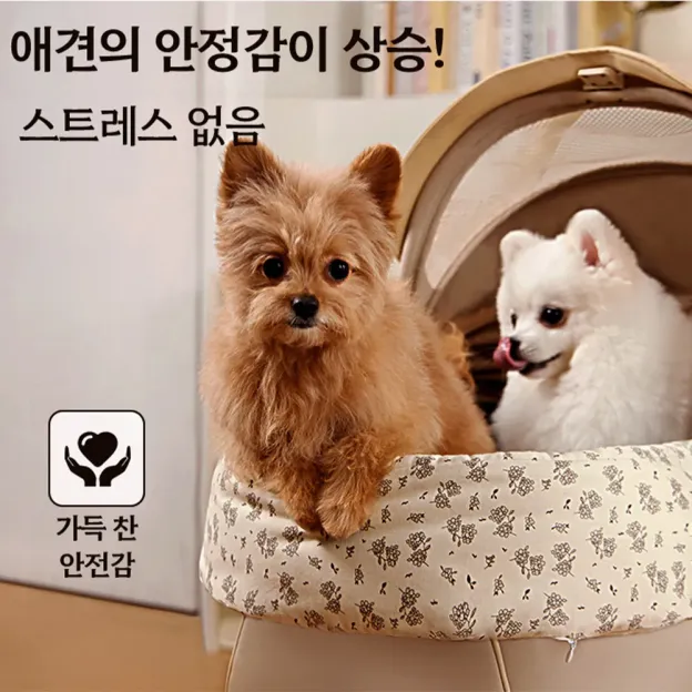 플로럴 프린지 투피스 세트