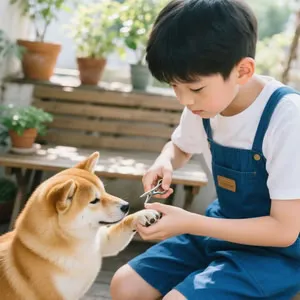 {"default":"Cat and dog receiving grooming care at home 집에서 미용 관리 받는 강아지랑 고양이 모습"}
