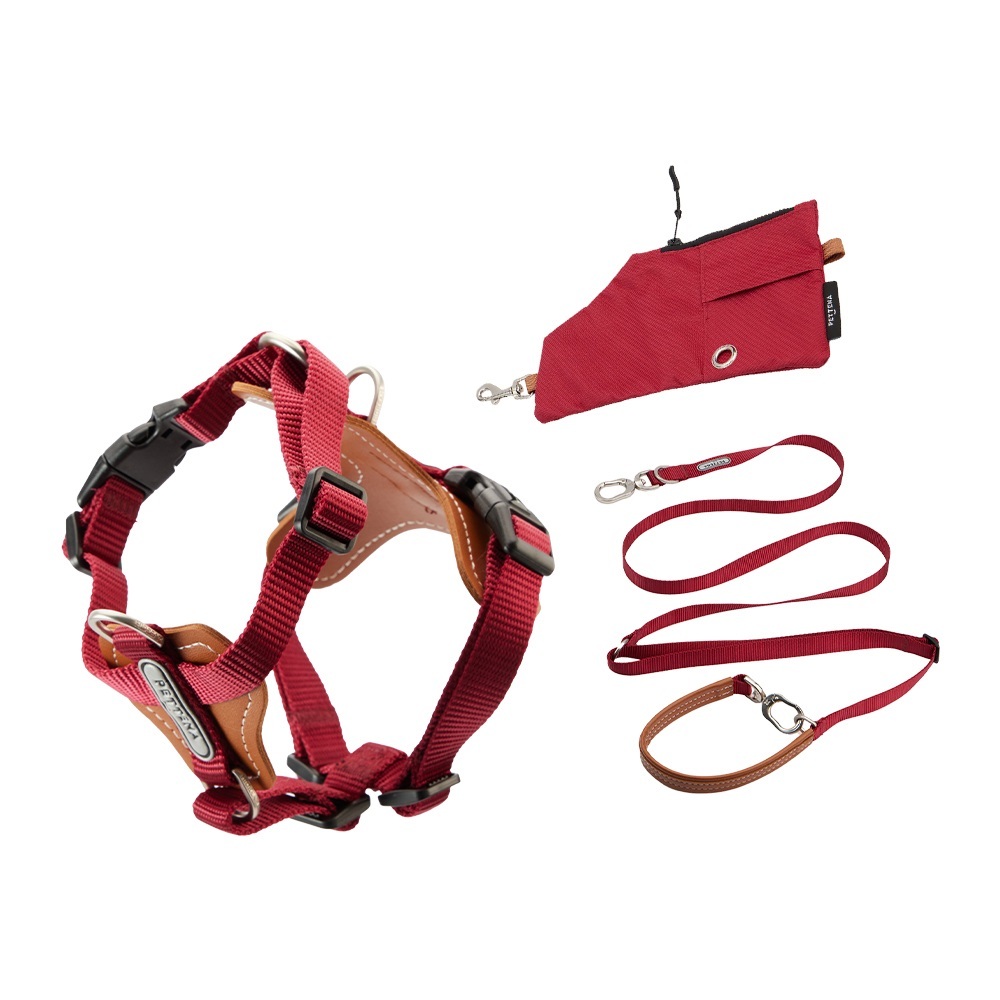 PETTENA 강아지용 리드 어깨 걸이 가방 포함 3종 세트
